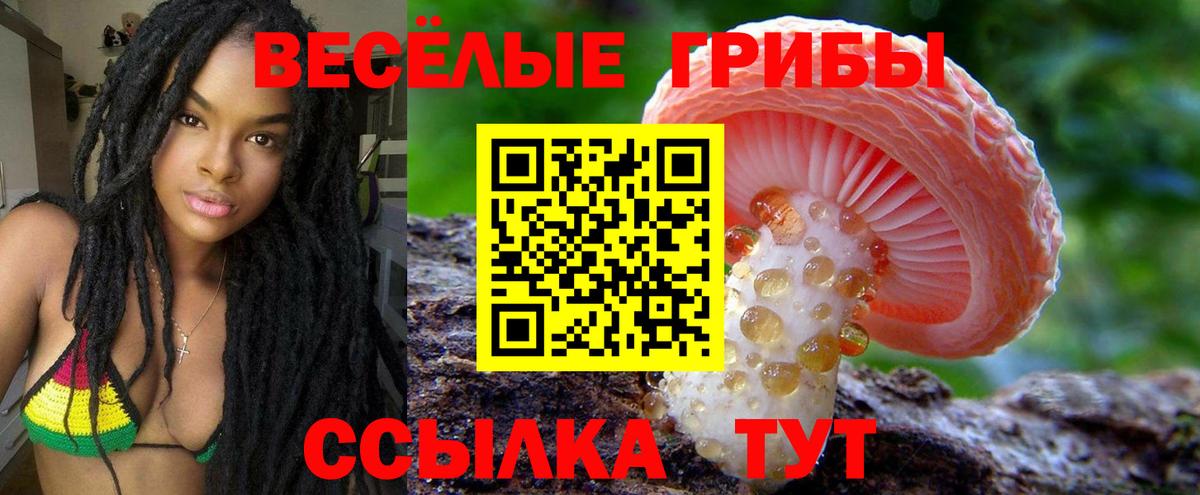 Кингисепп  Псилоцибиновые грибы GOLDEN TEACHER  Вход с VPN 