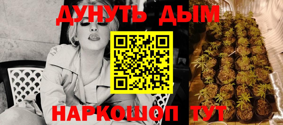 Кингисепп  Марихуана MAZAR  Вход с VPN  Бошки марихуана план  Шишки марихуана марихуана 